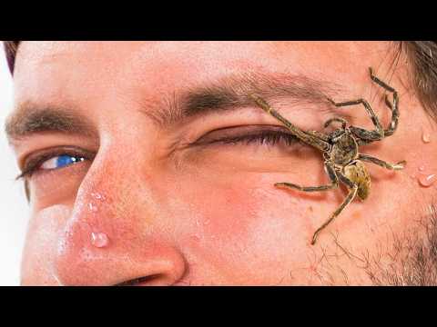 The Boys Face Their Worst Fears