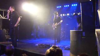 The Gracious Few  - Nothin But Love - Chameleon Club -10 30 2010