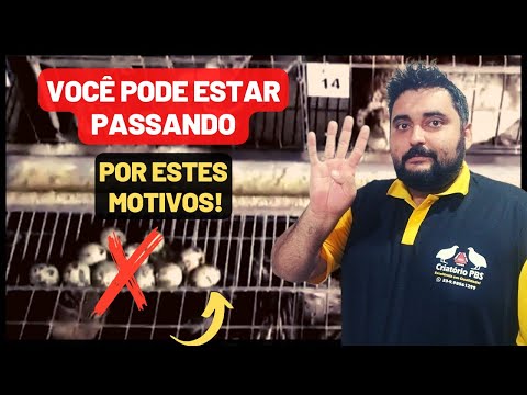 , title : 'Veja os 4 PRINCIPAIS MOTIVOS porque sua codorna não está botando ou atrasando a postura'