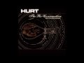 Hurt - The Old Mission