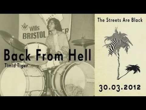 Timid Tiger - Back From Hell (2012)