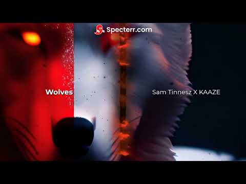 Wolves - Sam Tinnesz X KAAZE