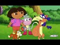 Dora The Explorer Cousin Goals Rescuing Animals Akili TV