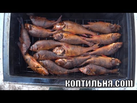 Рыба Горячего Копчения в домашних условиях! Готовим Окуня