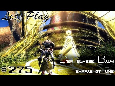 Let's Play ♦ Guild Wars 2 | 275 | Der blasse Baum empfängt uns