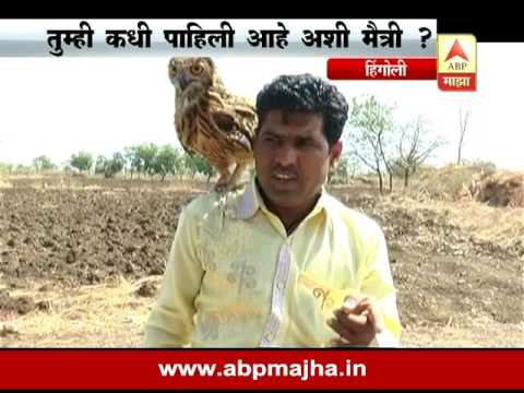 , title : 'Hingoli : Man Friendship with Owl Special Report