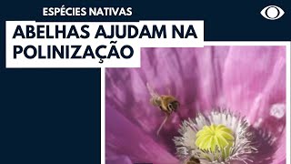 Miniatura do vídeo