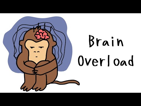 Monkey Resets Brain Daily: The Reset Button for Mental Clarity FAST