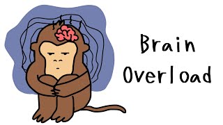 Monkey Resets Brain Daily: The Reset Button for Mental Clarity FAST