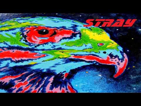 STRAY HAWK Stray