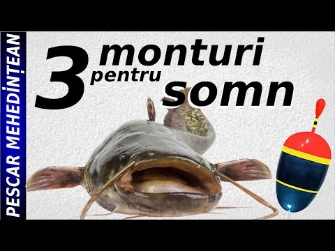 3 monturi pentru pescuit la somn