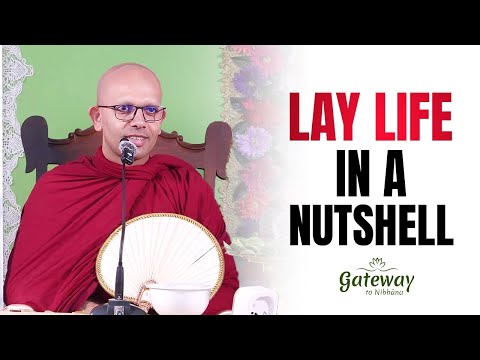 Lay Life in a Nutshell