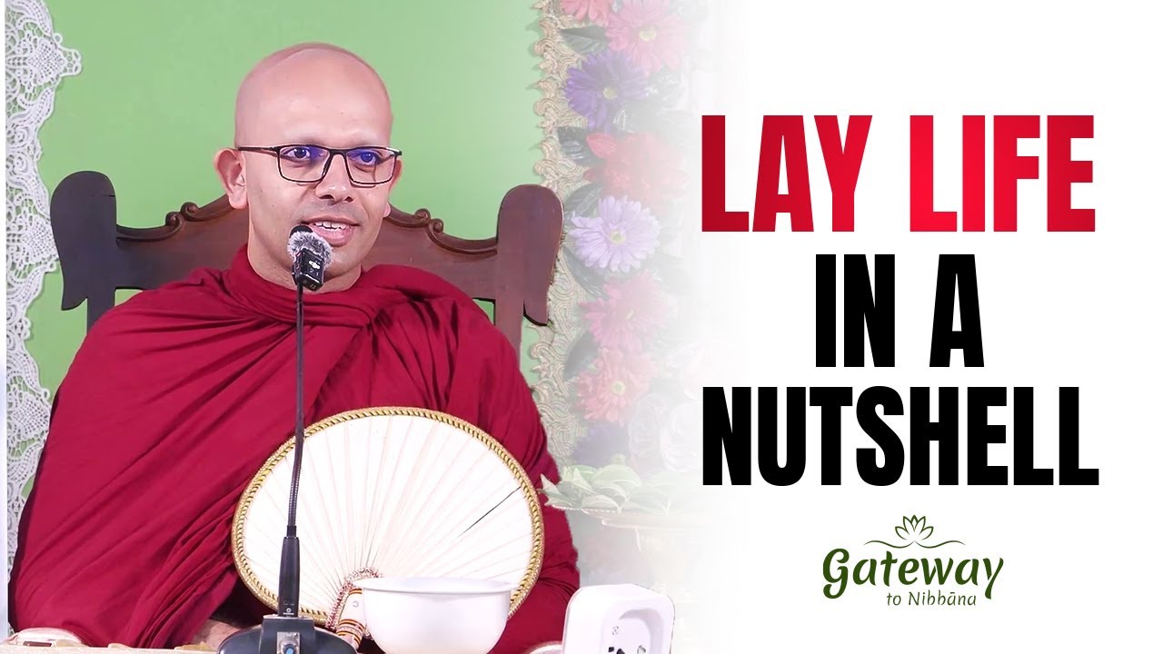 Lay Life in a Nutshell