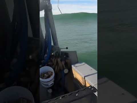 😱😱A Massive Rogue Wave Tried to End our Crab Season! #shorts #tsunami #bigwaves #fishtough