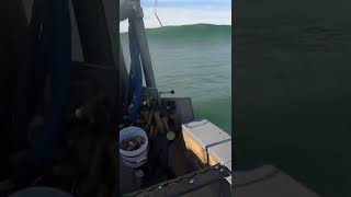 😱😱A Massive Rogue Wave Tried to End our Crab Season! #shorts #tsunami #bigwaves #fishtough