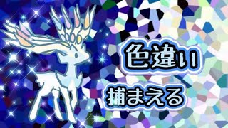 生放送 今日もやります伝説厳選 ゼルネアス編 ポケモンusum تنزيل الموسيقى Mp3 مجانا