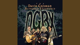 Say Won't You Be Mine