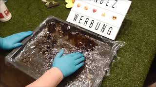 Backofen Reiniger von Maxxi Clean einfach der Hammer