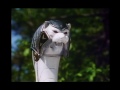 WHITE RANGER TIGER POWER