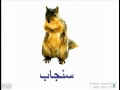 Arabic Animal 