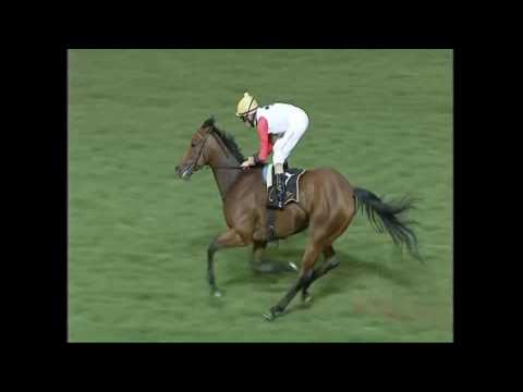 Champagne Haze Turffontein 25 March 2017