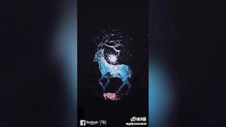 The best vidéo Tik tok 👑 challenge mirror art