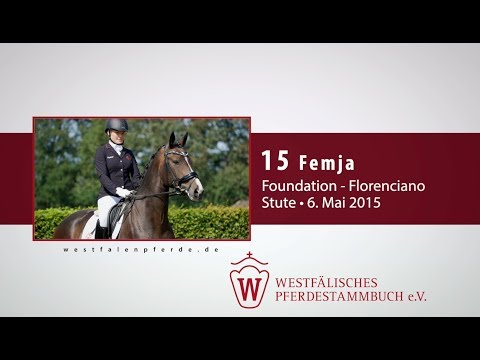 15 Femja  Stute v. Foundation - Florenciano