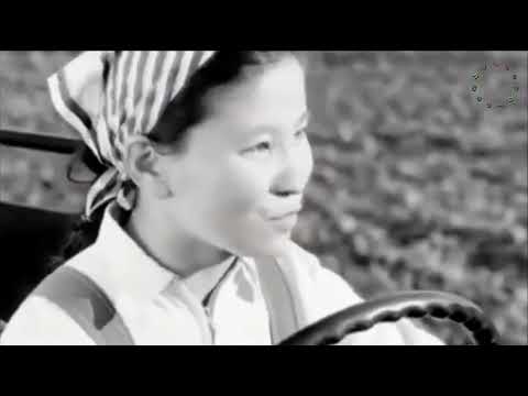 Морьтой ч болоосой МУСК (Монгол киноны сэтгэлд хоногшсон хэсгүүдээс...)