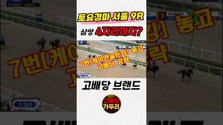 고배당 가두리 배당 픽!!!🎯경마🟢 경마 고배당🟢 서울경마🟡부산경마🔵제주 경마