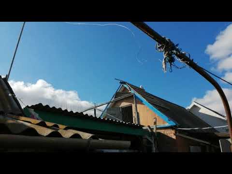 💥🕊️ // ГОЛУБИ // МАССОВОЕ ПОКРЫТИЕ // 🕊️💥 17.02.20. Г. САЛЬСК.