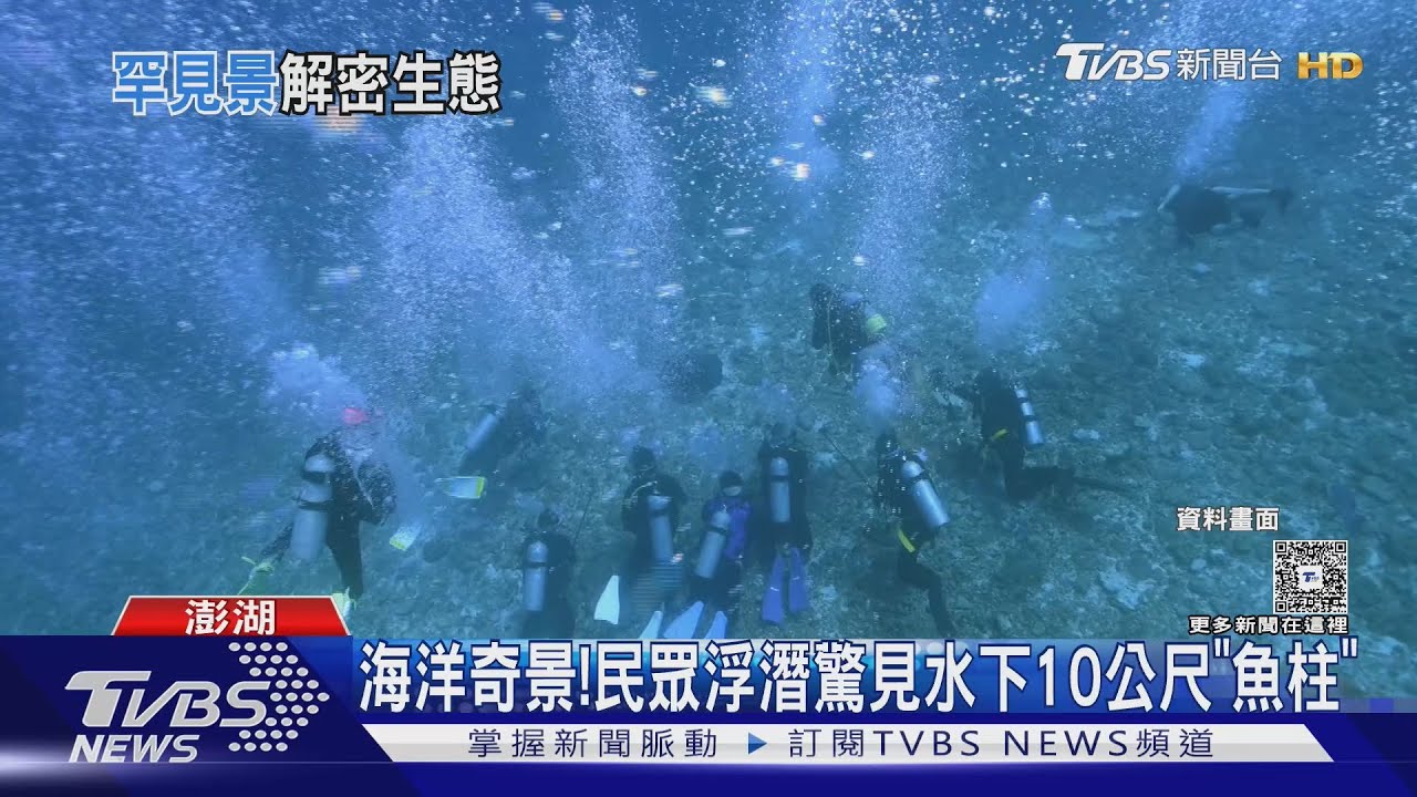海洋奇景!民眾浮潛驚見水下10公尺「魚柱」