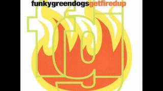 Funky Green Dogs  - Fired Up (extended club dance mix)