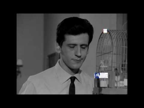 Carosello - Facis - Una naturale eleganza - Nel nuovo ufficio