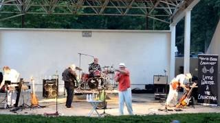 Little Walter  Everybody Needs Somebody