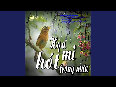 Thể hiện bởi Lê Dung