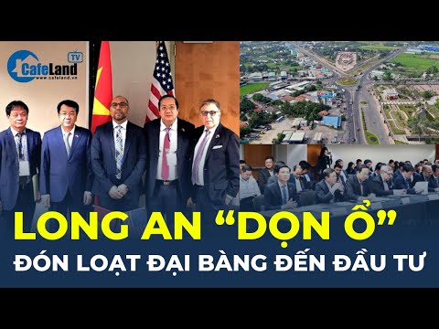 Longo Um