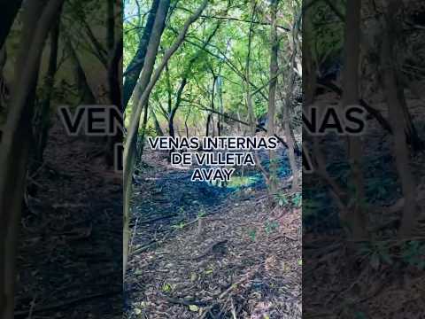 venas abiertas de avay villeta-central