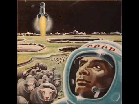 Shepherd disco-OMFO