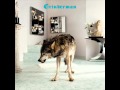 Grinderman - Evil 