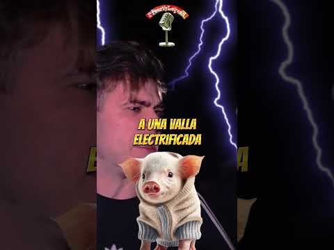 Haron Vs Kavron en la Dem #batalladegallos #batalladelosgallos #batallasdefreestyle #freestyle