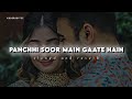 Panchhi Soor Main Gaate Hain Slowed Reverb Udit Narayan Sanjay Kapoor Priya Gill Lofi