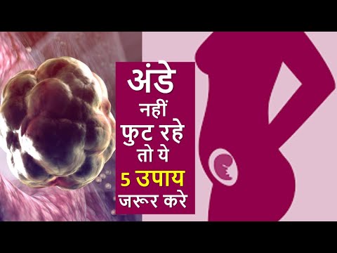 अंडे नहीं फुट रहे तो ये 5 उपाय करना न भूले ? 5 Super tips to Boost ovulation| In Hindi