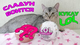РАСПАКОВКА КУКОЛ LOL | СЛАДУН И КЕВА КУПИЛИ ШАРЫ LOL