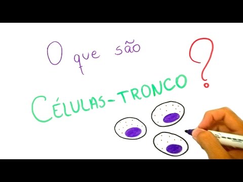 Afinal, o que são células-tronco?