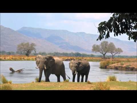 Matonto -Inga nhasi tafara