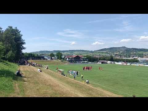 Ludwig-Desiderato-Stadion, FC Erzingen 1920