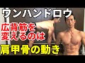 効果は倍増する!ワンハンドロウで広背筋を肩甲骨の動き!背中の厚み、広がり 隠れた秘訣を伝授する!