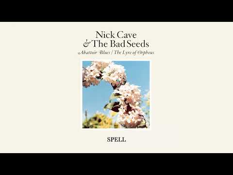 Spell video thumbnail