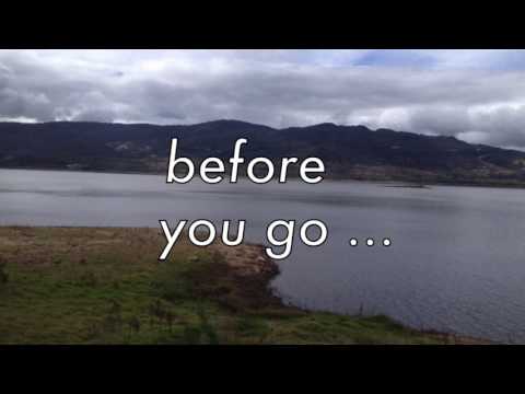 Before you go - Carolina pinto erazo