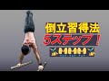 倒立ができるようになる!!5ステップ!!【カリステニクスの基礎】